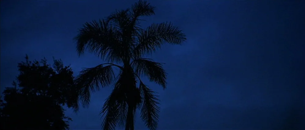 Apt Pupil (1998) movie still: establishing — A palm tree and other foliage stand in silhouette against a deep blue sky. No other objects or people…