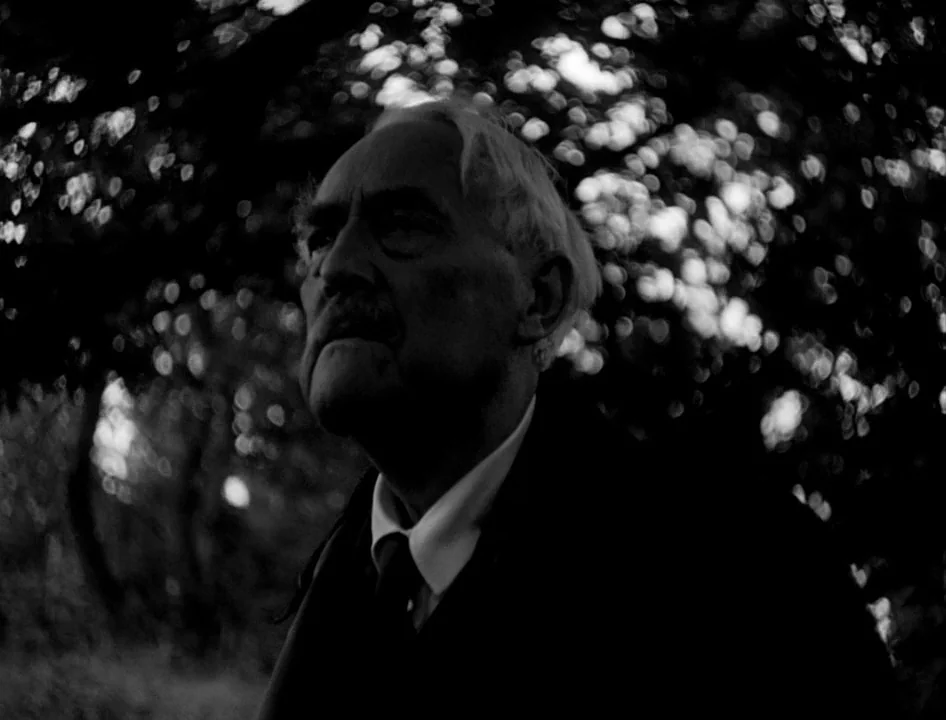 Wild Strawberries (1957) movie still: closeup — An elderly man stands in a dark, wooded area with blurred out-of-focus foliage behind him. He looks…