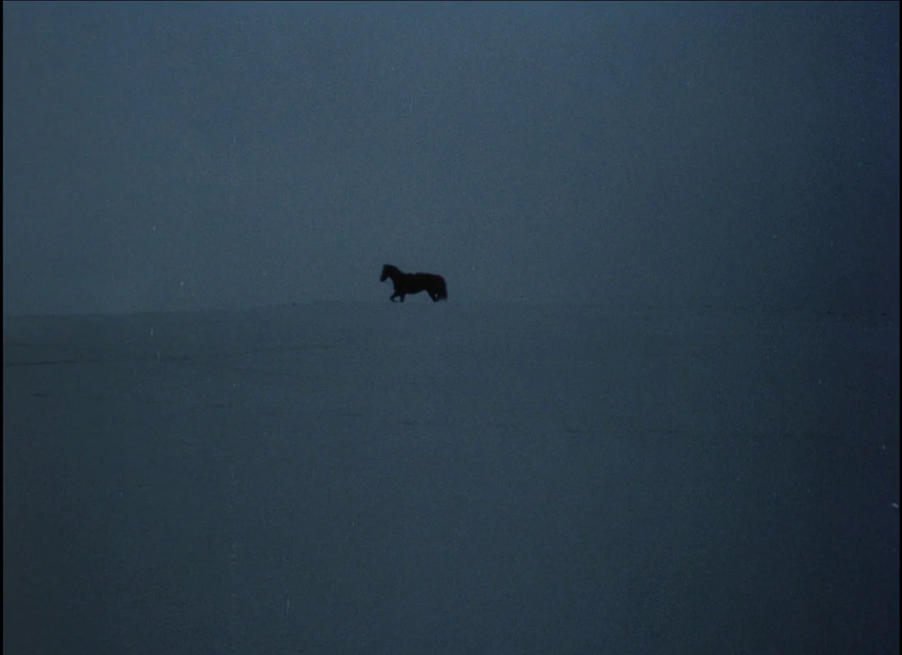 Beauty and the Beast (1979) movie still: wide — A vast, featureless snowfield stretches toward a distant horizon under a dark sky. A single dark…