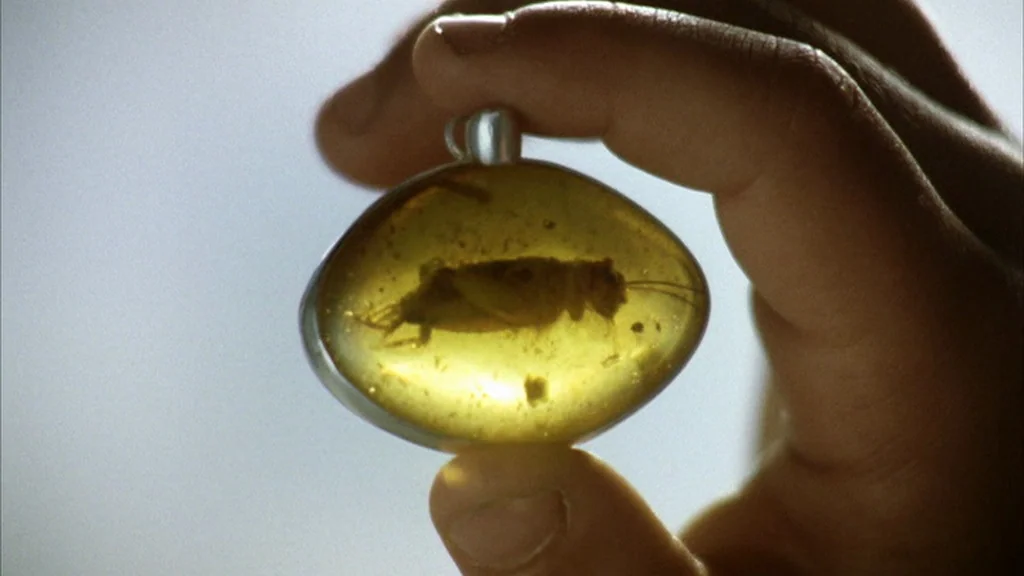 Everything Is Illuminated (2005) movie still: closeup — A close-up view shows an oval-shaped piece of yellow amber containing a prehistoric insect.…