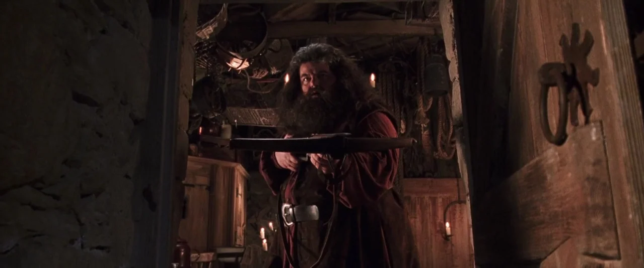 Harry Potter and the Chamber of Secrets (2002) movie still: medium — A dimly lit stone hut filled with wooden furniture and hanging household…