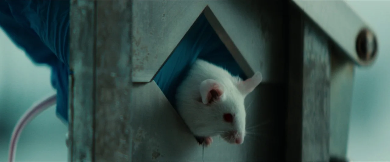 Double Blind (2023) movie still: closeup — A white mouse is inside a clinical, metallic structure with a triangular cutout. The animal peers out…
