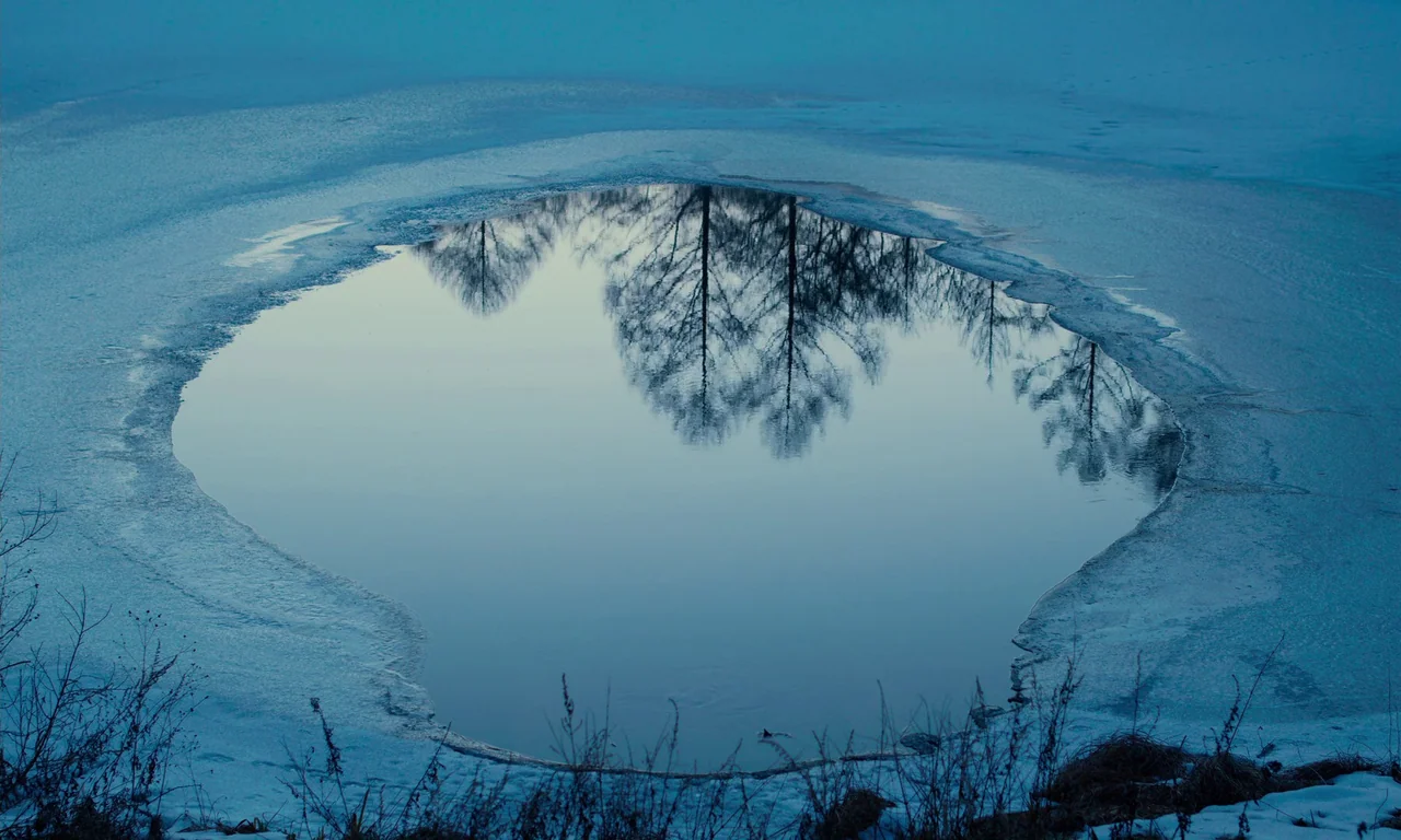 Evil Does Not Exist (2023) movie still: establishing — A circular opening in a frozen pond displays a clear reflection of bare trees. The…