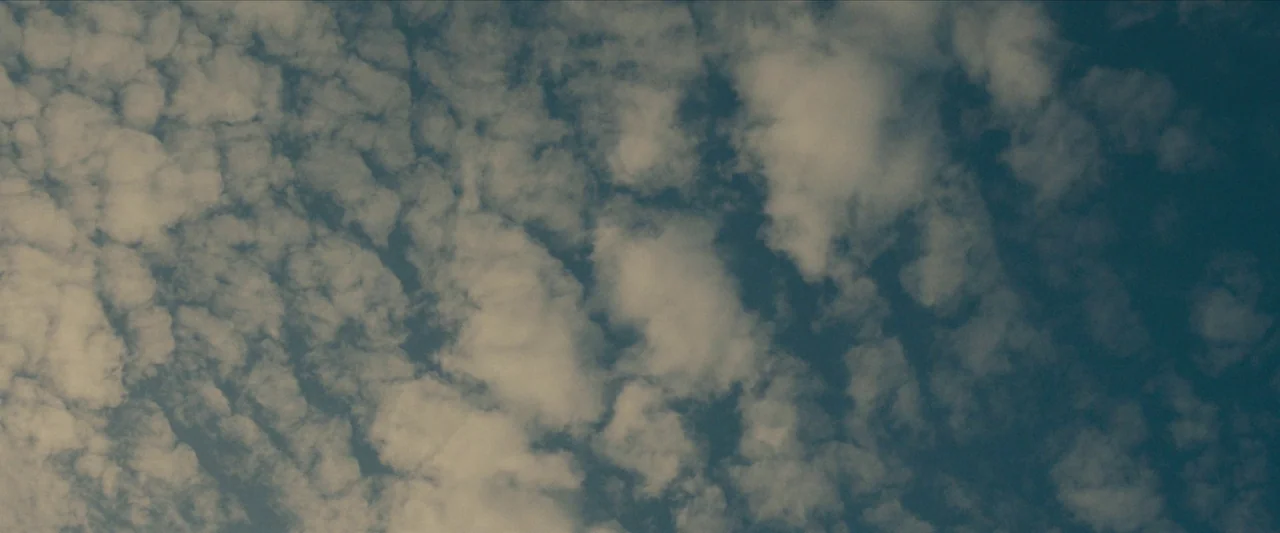 Sasquatch Sunset (2024) movie still: establishing — An expanse of sky filled with scattered altocumulus cloud formations. The clouds drift across a…
