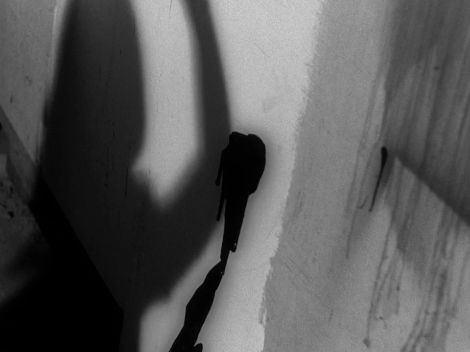 Night of the Living Dead (1968) movie still: closeup — A stark white wall displays the long, distorted shadow of a human silhouette. Dark liquid or…
