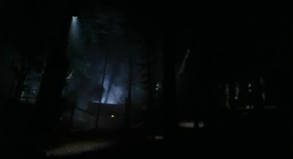 Evil Dead II (1987) movie still: establishing — A dark, wooded forest area at night with thick haze among the tall trees. Light beams from an unseen…