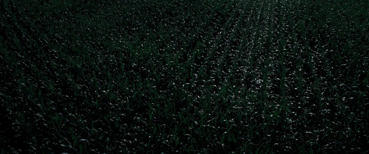 Goodnight Mommy (2014) movie still: establishing — An expansive agricultural field at night with rows of crops extending into darkness. Moonlight…