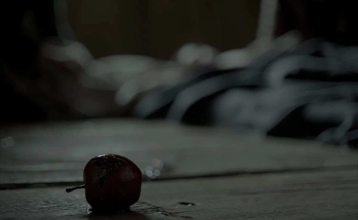 The Witch (2015) movie still: closeup — A single damaged apple rests on rough, dark wooden boards. The background remains blurred and obscured in…
