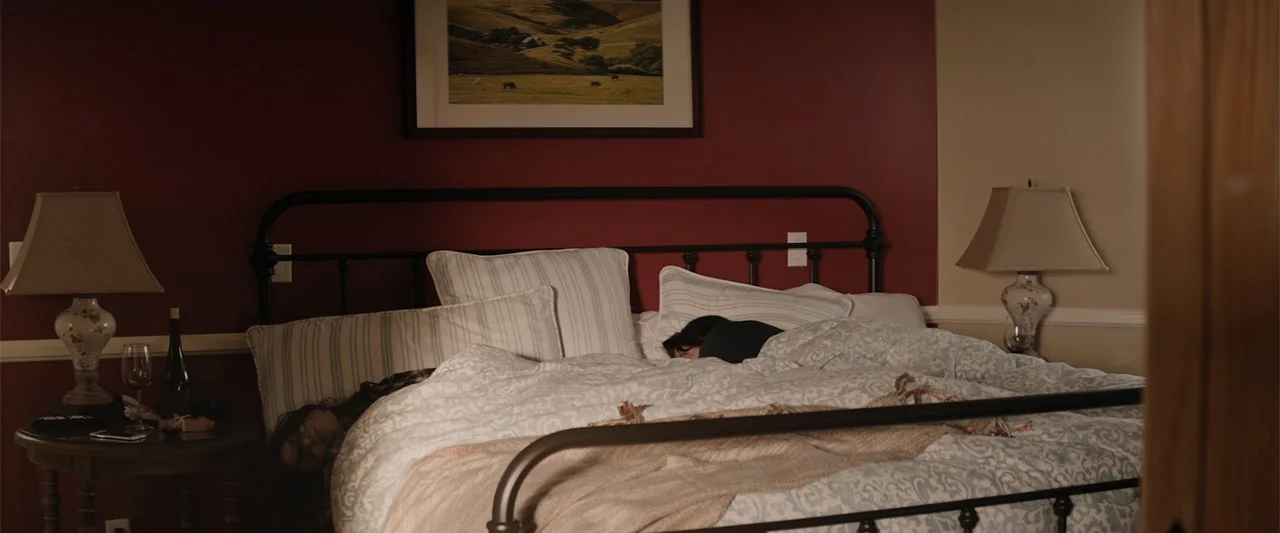 Destination Wedding (2018) movie still: medium — A bedroom features deep red walls with a landscape painting above a large bed. Two people are lying…