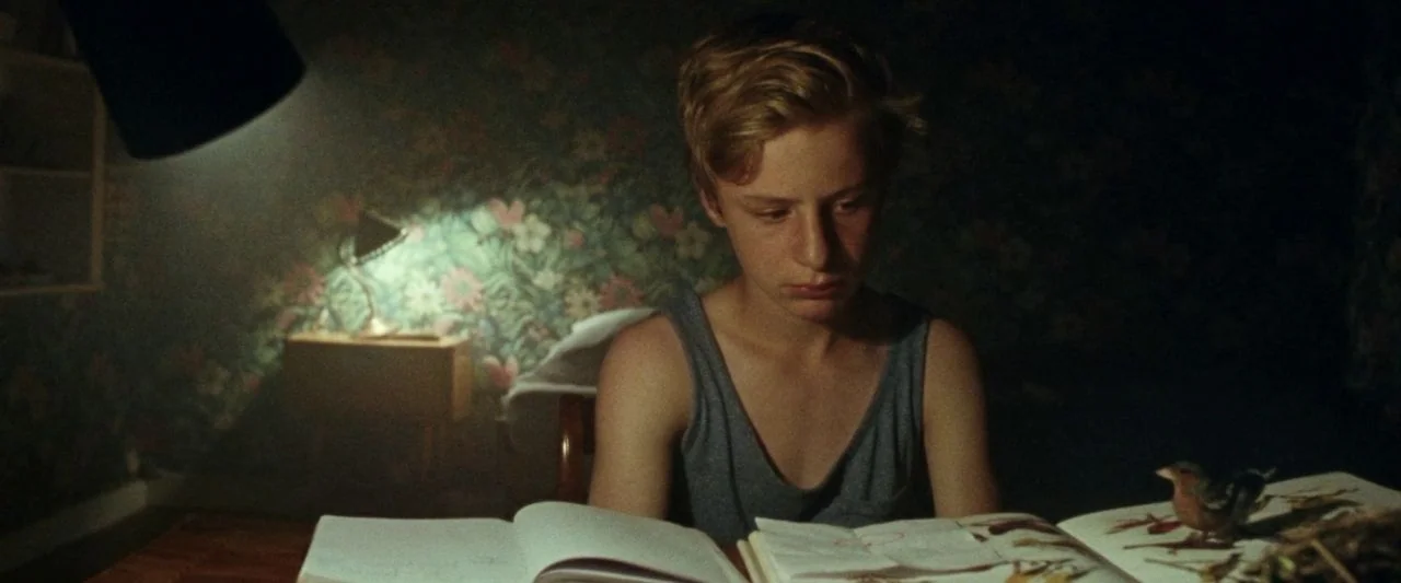 Adoration (2019) movie still: medium — A dimly lit room features floral wallpaper and a desk lamp on a side table. A young man wearing a grey tank…