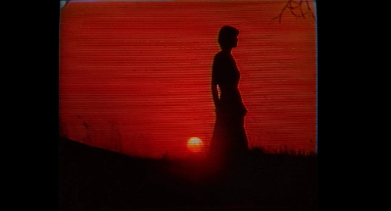 True Stories (1986) movie still: fullbody — A dark silhouette stands in a grass field against a bright red sunset sky. Analog video interference and…