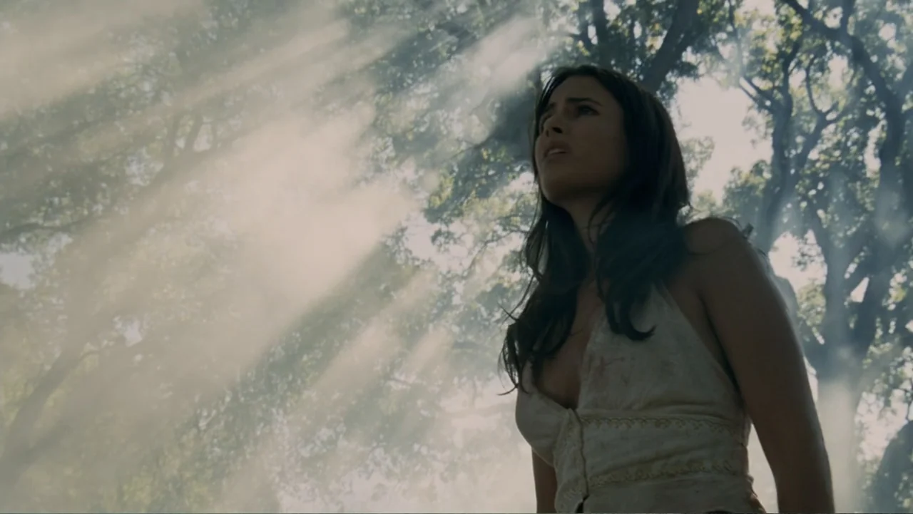 The Texas Chainsaw Massacre: The Beginning (2006) movie still: medium — A dense patch of trees is filled with bright, hazy sunlight and visible…