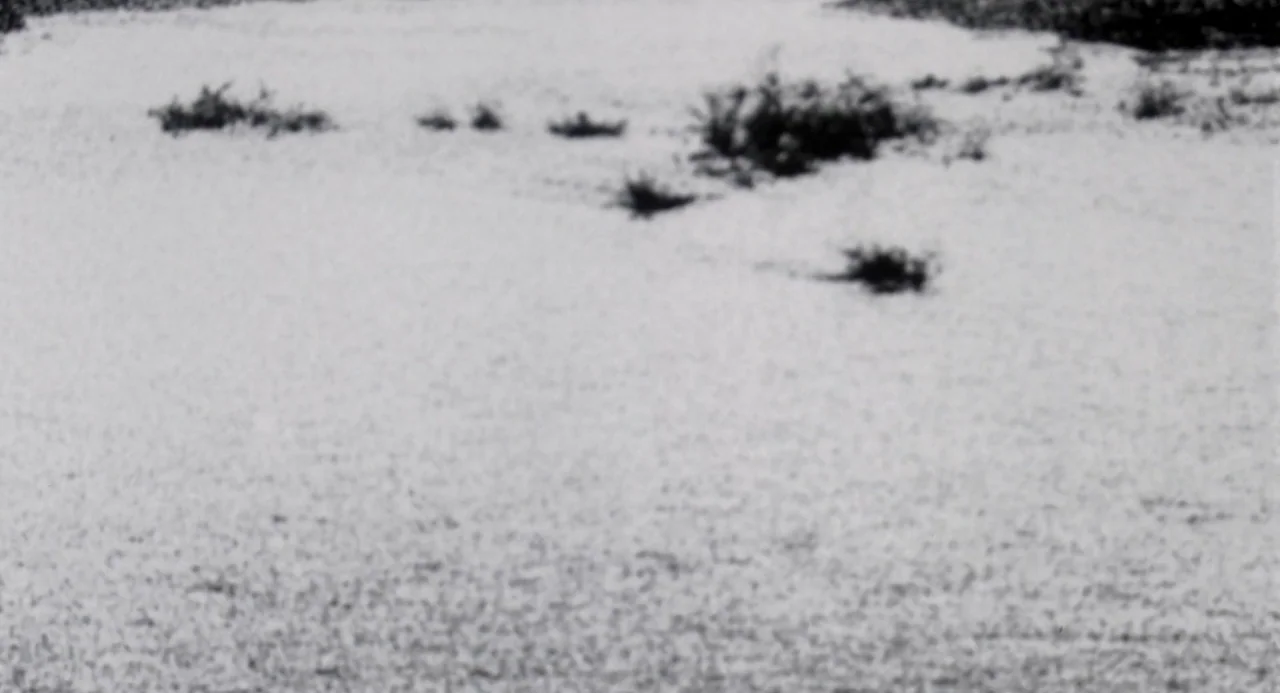 River’s Edge (1986) movie still: establishing — A desolate, sun-bleached expanse of flat desert terrain with scattered, small, dark shrubs. The sand…