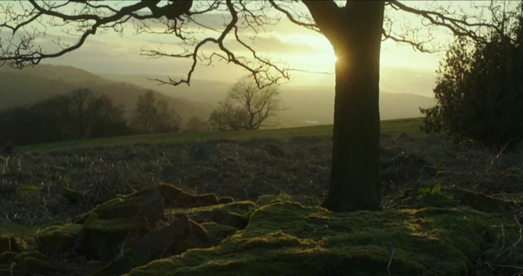 God’s Own Country (2017) movie still: wide — A bare-branched tree stands in a mossy field during the setting sun. Distant hills are visible under a…