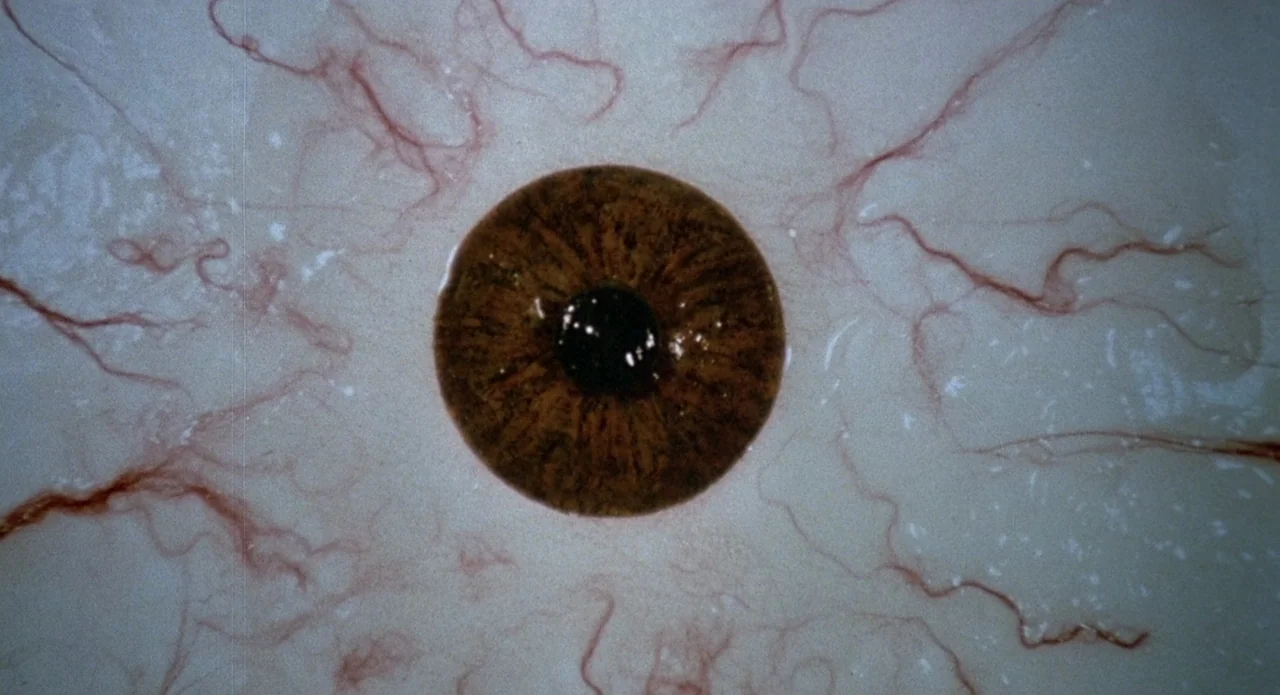 Brain Damage (1988) movie still: closeup — An extreme close-up of a human eye centered in the frame. The iris is brown and surrounded by a white…