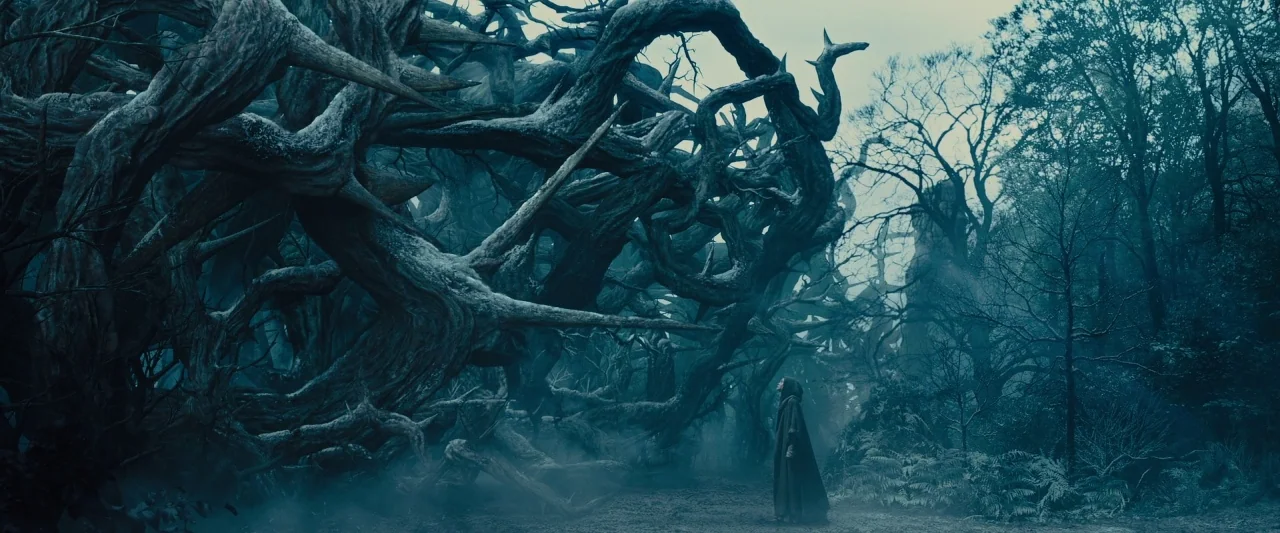 Maleficent (2014) movie still: wide — A dense, dark woodland environment is filled with thick, thorny, interwoven tree branches. A lone person in a…