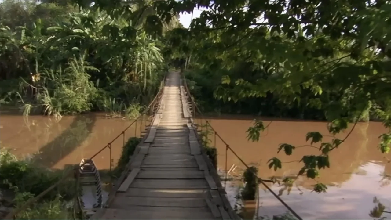 Sister (2014) movie still: establishing — A weathered wooden suspension bridge stretches across a wide, opaque brown river. Dense tropical foliage…