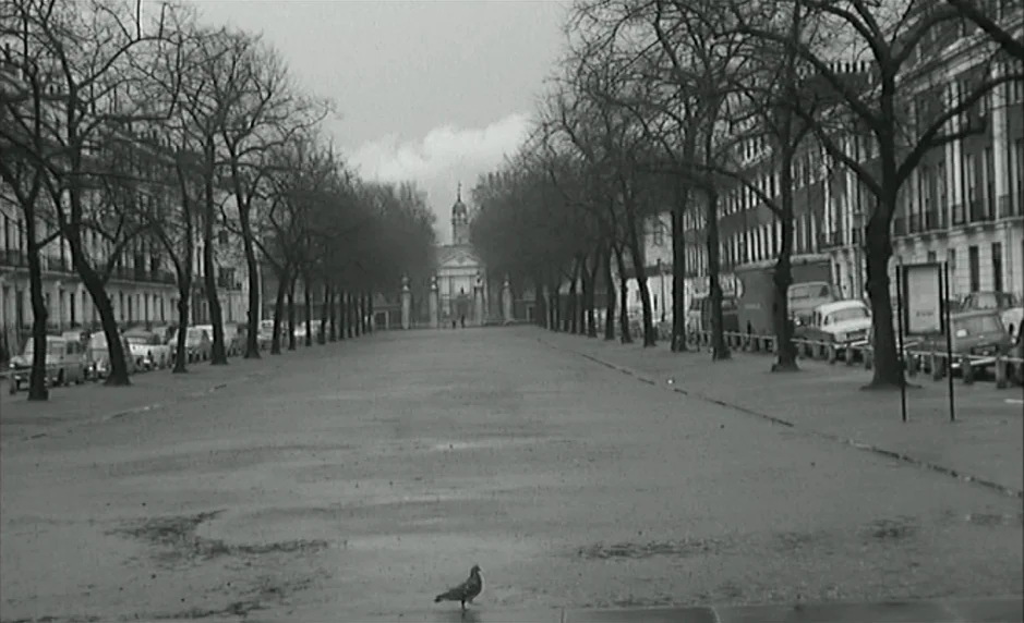 The Servant (1963) movie still: establishing — A wide, empty city plaza is lined with bare trees and classic residential buildings. A single pigeon…
