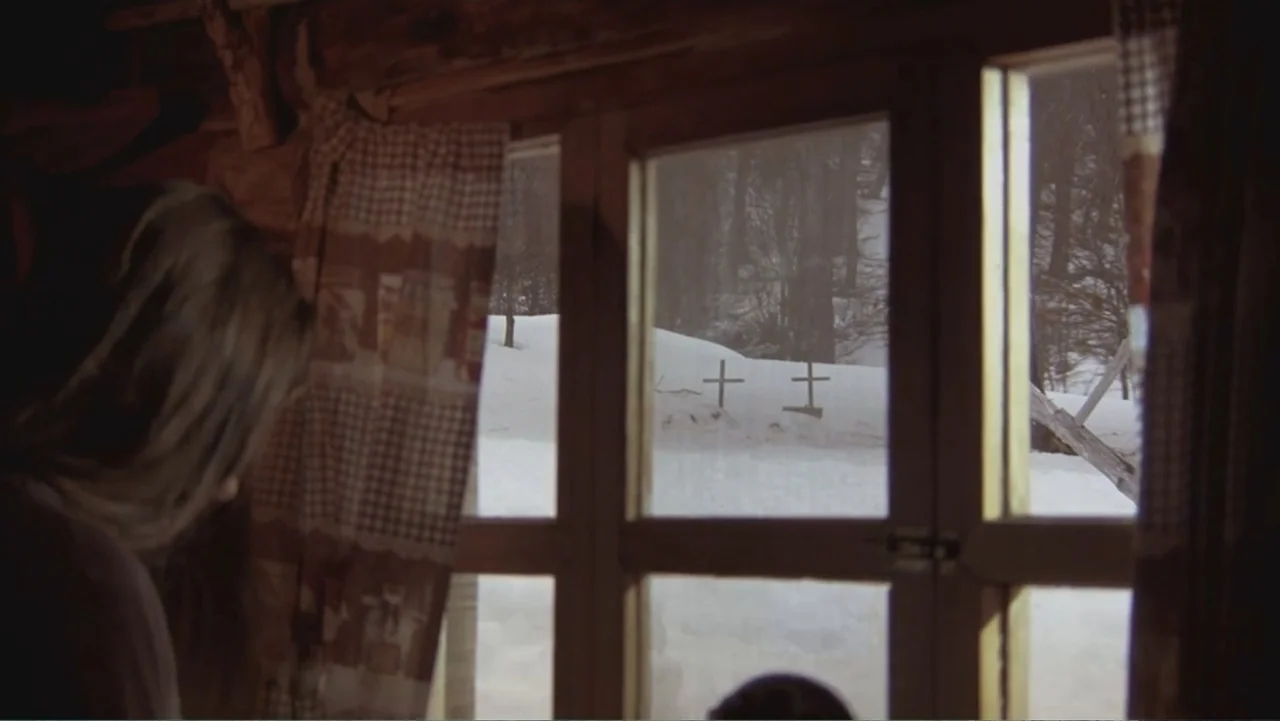 A Distant Place (2020) movie still: medium — A rustic log cabin interior features a window with patterned curtains overlooking snow. A woman stands…