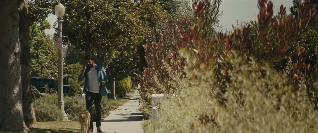 Stalker (2020) movie still: fullbody — A tree-lined residential sidewalk features lush foliage and a parked car. A man wearing a blue shirt walks a…