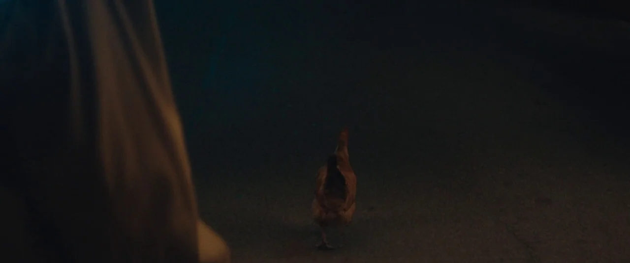Honey Boy (2019) movie still: wide — A dark, unlit road surface at night stretches into the distance. A single brown chicken walks away from the…