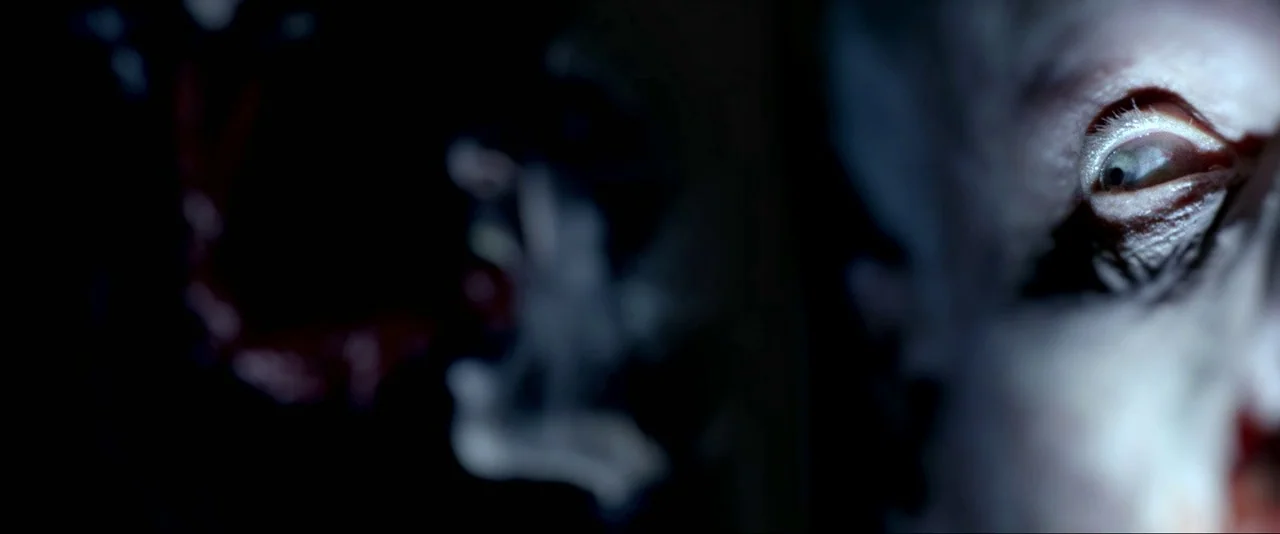 Dead Silence (2007) movie still: closeup — A dark, undifferentiated space surrounds a face partially revealed by extreme low-key light. A single eye…
