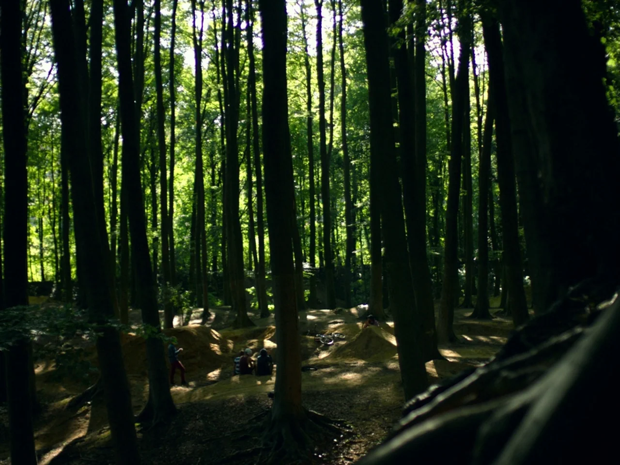 Violet (2014) movie still: wide — A dense grove of tall trees features mounds of dirt created for bicycle jumping. A small group of people occupies…