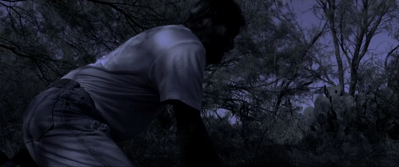 Amityville Cult (2021) movie still: medium — A man crawls through dark, dense desert vegetation at night. Tall trees and prickly pear cactus…