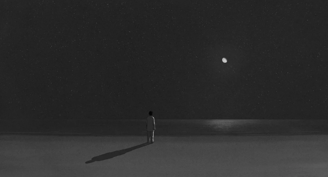 The Red Turtle (2016) movie still: wide — A dark, expansive beach at night under a vast, star-filled sky. A single figure stands on the sand facing…