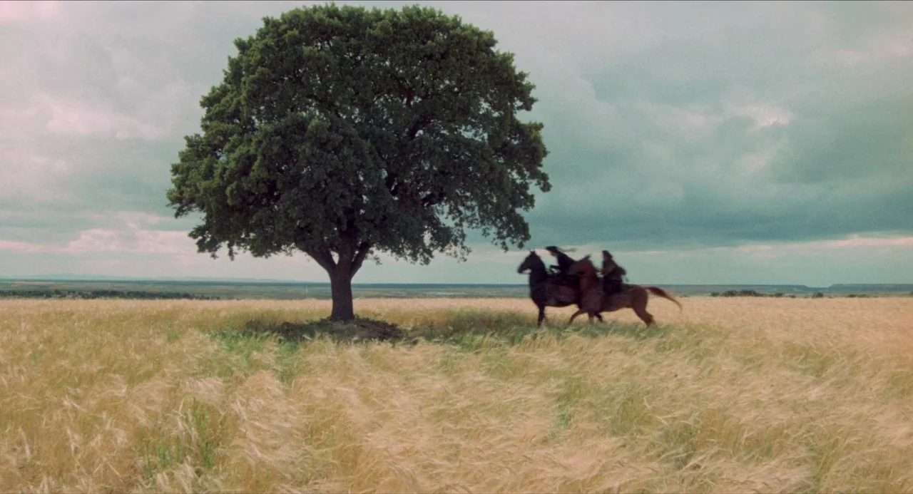 The Three Musketeers (1973) movie still: wide — A vast golden wheat field under a heavy, overcast grey sky with a single tree. Two men ride…