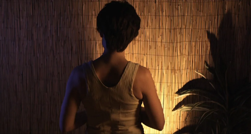 I Killed My Mother (J’ai tué ma mère) (2009) movie still: medium — A person stands before a wall covered with a thin reed matting backdrop. The…