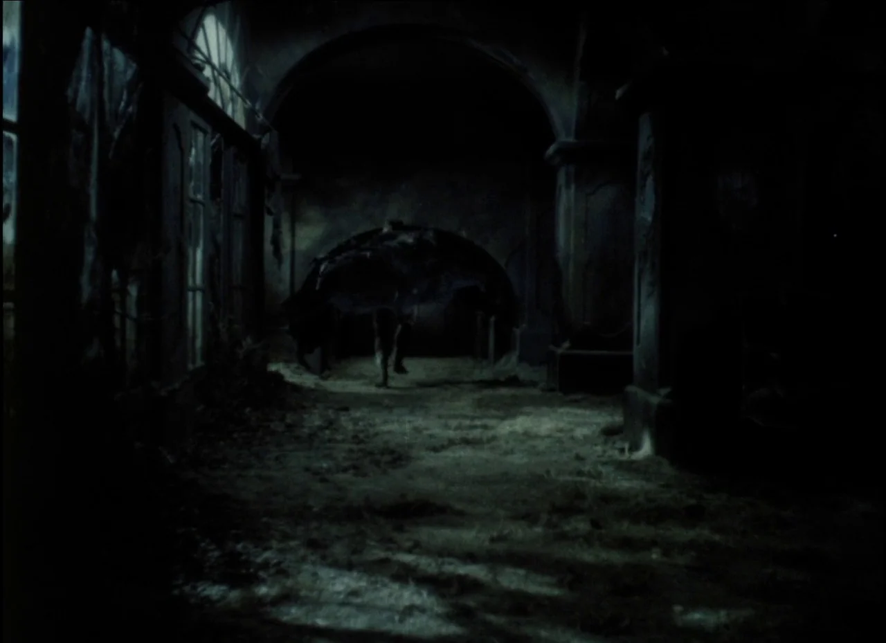 Beauty and the Beast (1979) movie still: wide — A dark, arched indoor stone passage with debris scattered across the uneven floor surface. A blurry,…