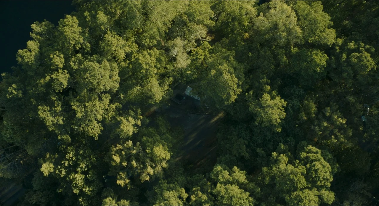 Doctor Sleep movie still: establishing — A dense forest canopy viewed from directly overhead covers the ground surface below. A small clearing…