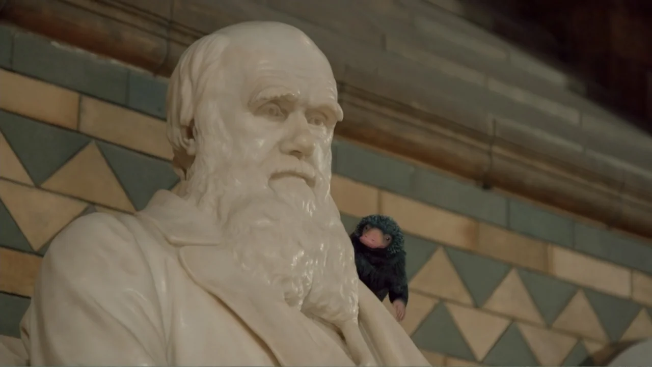 Fantastic Beasts: A Natural History (2022) movie still: medium — A stone bust of a bearded man sits against a tiled wall in a museum. A small black…
