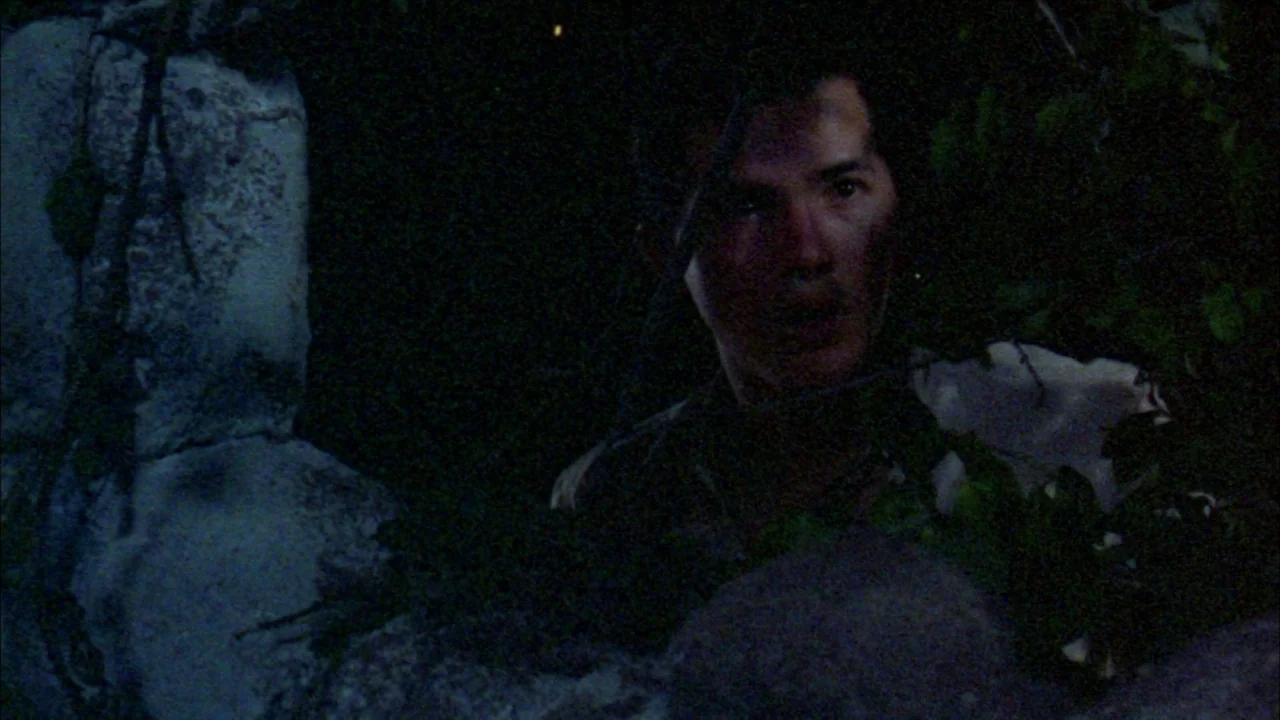 Poison movie still: medium — A dark, obscured area filled with dense foliage and stone textures at night. A young man emerges from behind leaves…