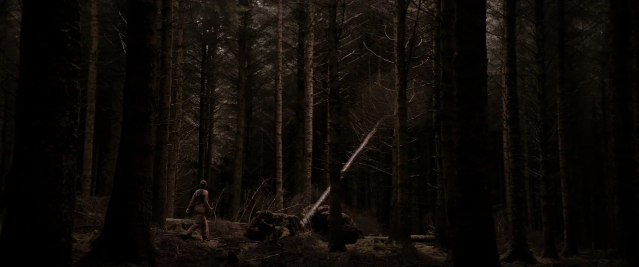 The Hole in the Ground (2019) movie still: wide — A dense forest of tall thin pine trees with minimal undergrowth in deep shadows. A lone person…