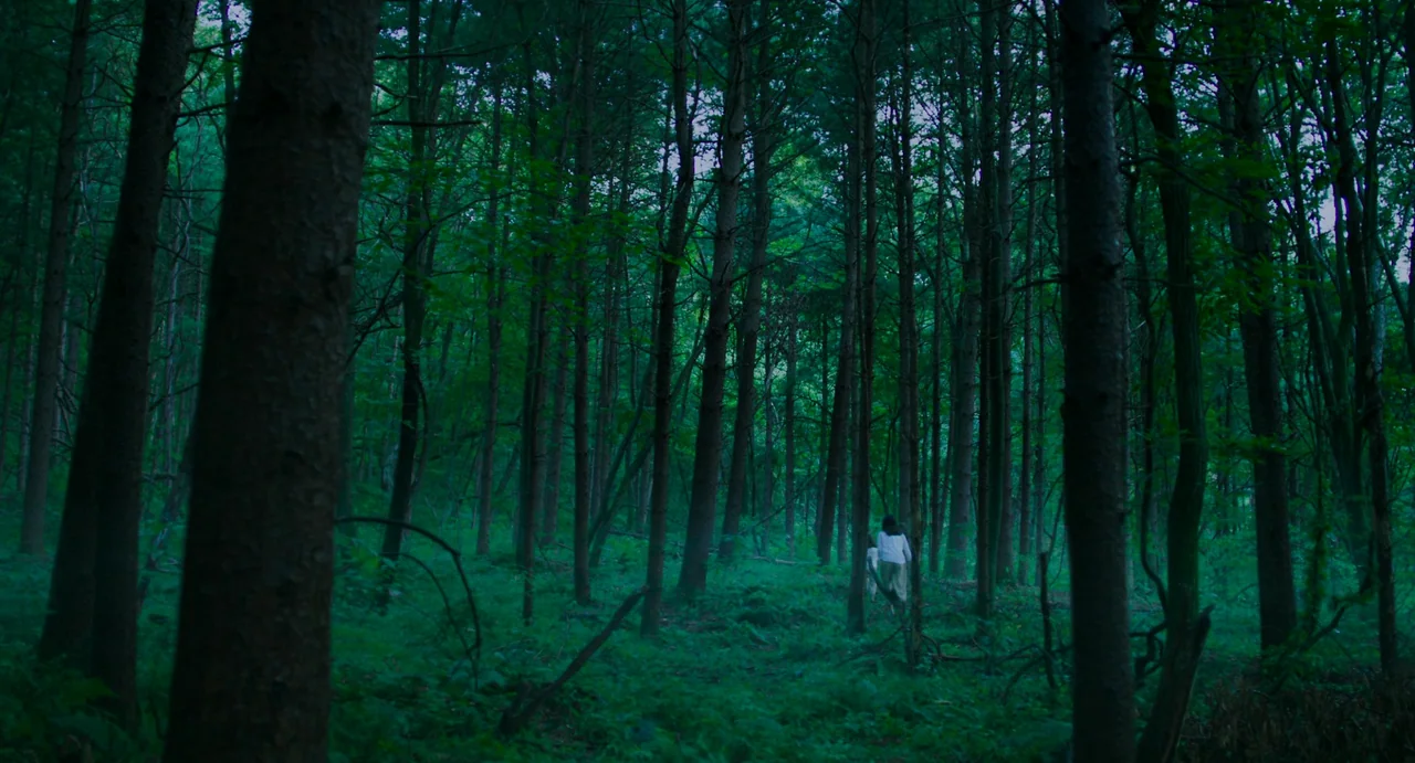 The Mimic (2017) movie still: wide — A dense woodland with tall, slender tree trunks and a thick layer of ferns. Two people in light clothing walk…