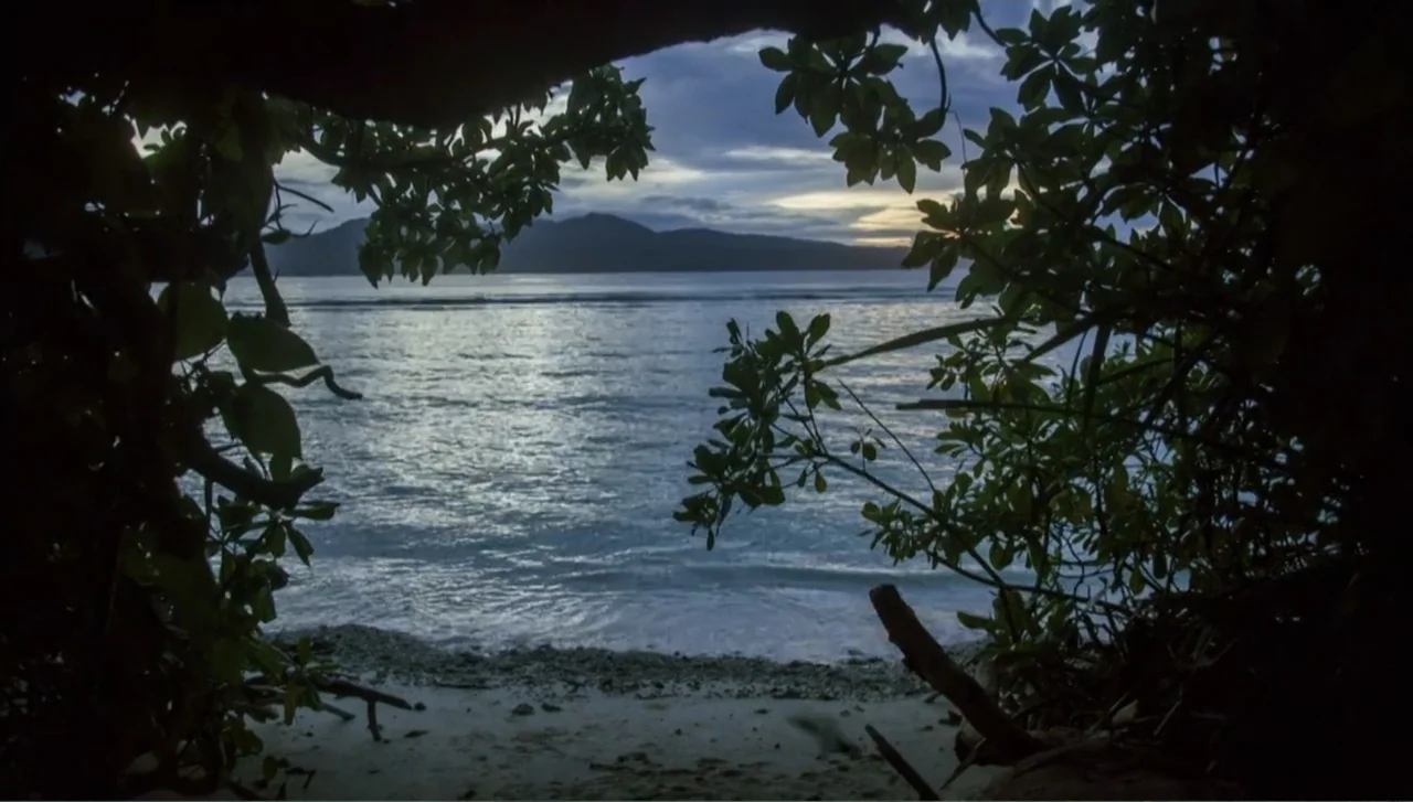 Islands of Creation (2015) movie still: establishing — A view of the ocean seen through an opening in dense tropical foliage. The shoreline…