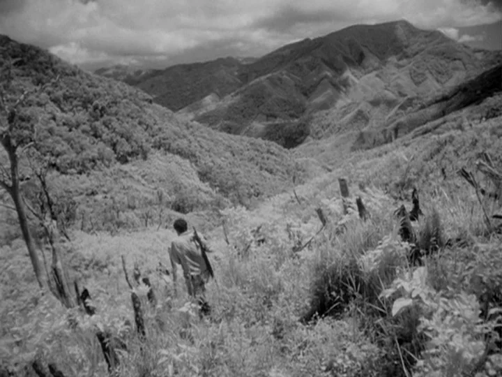 I Am Cuba (1964) movie still: wide — A rugged mountainside features sparse vegetation and scorched stumps in an expansive valley setting. A lone man…