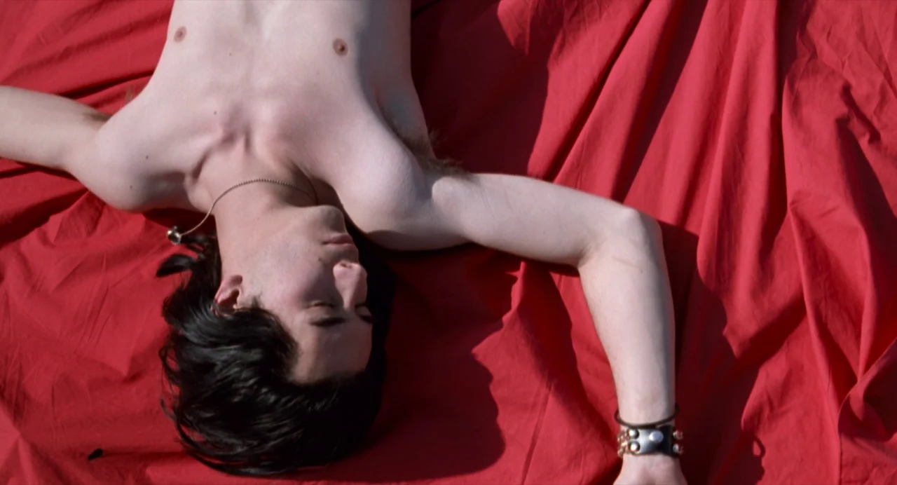 The Doom Generation (1995) movie still: medium — A person lies shirtless on top of a flat, solid red fabric surface outdoors. The subject has dark…