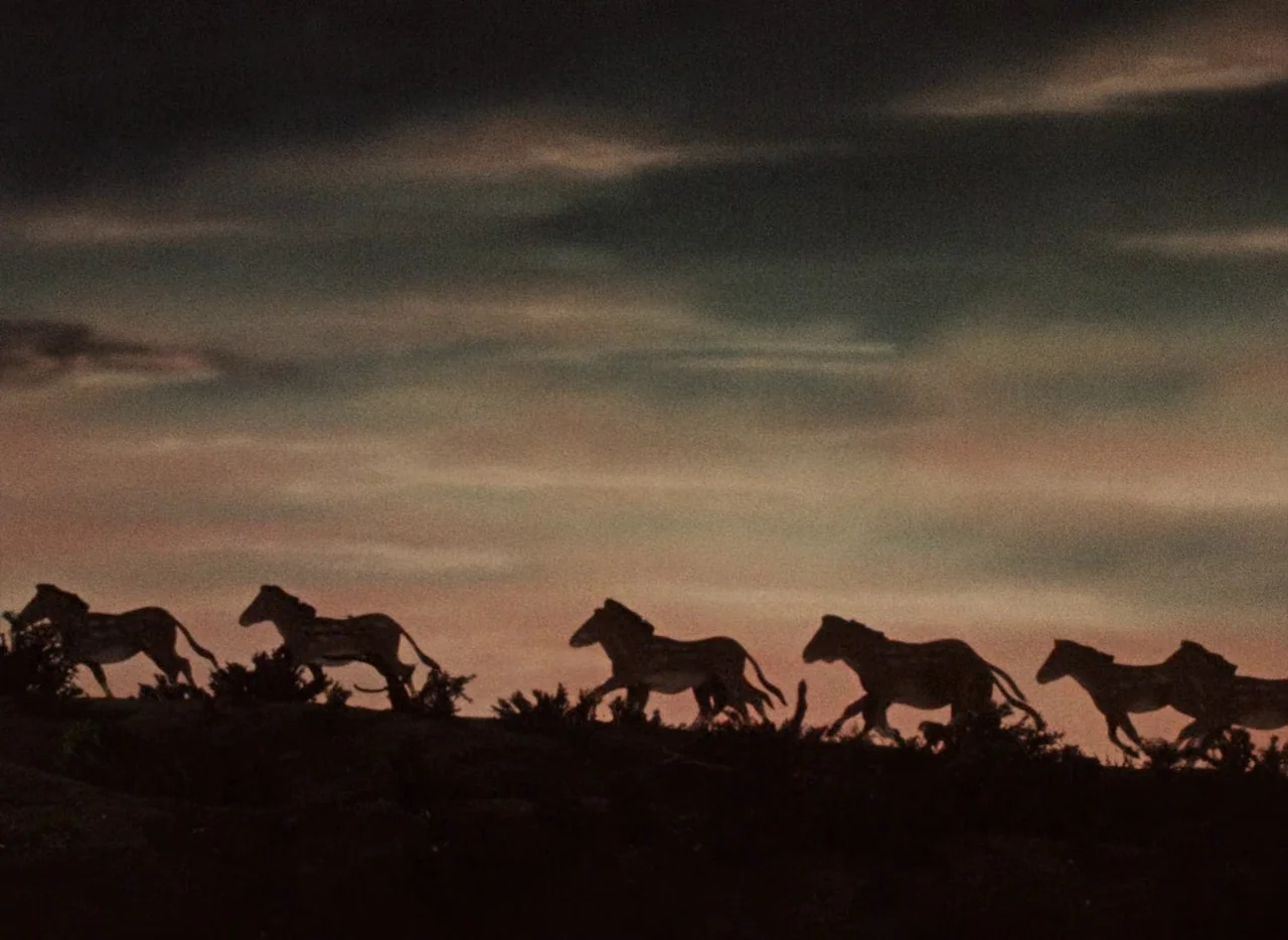 A Journey to the Beginning of Time (1955) movie still: wide — A group of zebras traverses a darkened ridge beneath a cloudy, dimming twilight sky.…