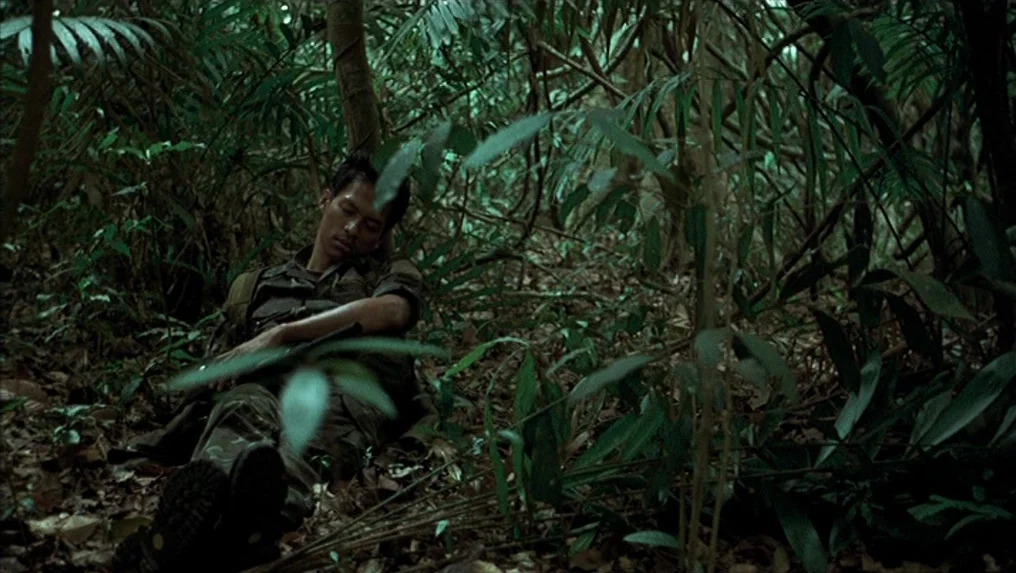 Tropical Malady (2004) movie still: medium — A dense, overgrown jungle with thick vegetation and leafy undergrowth fills the frame. A lone soldier…