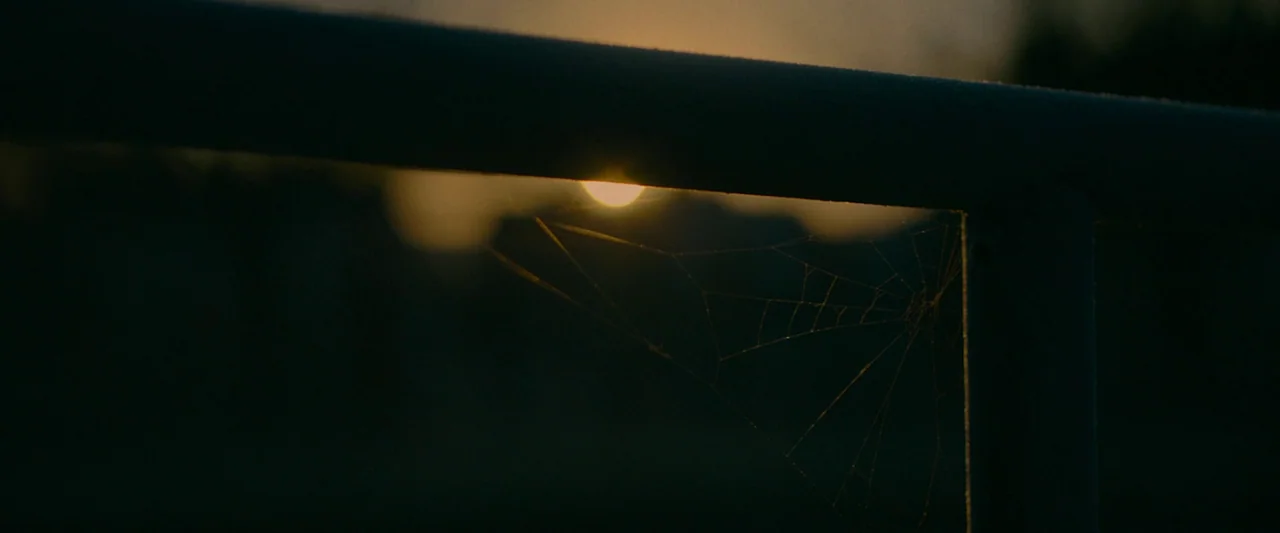 Ali & Ava (2021) movie still: closeup — A thin spider web clings to the underside of a dark metal rail at sunset. The setting sun glows brightly…