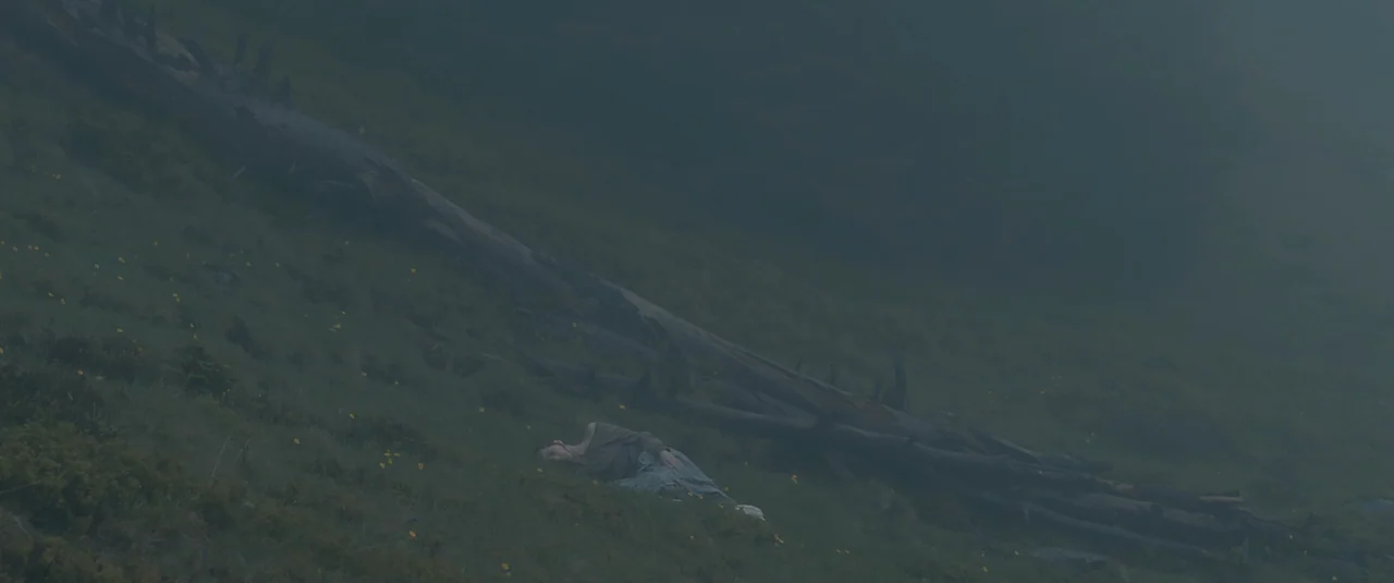 Hagazussa (2017) movie still: wide — A figure rests on a steep, mist-covered mountain slope beside a large, fallen dead tree. The dense fog obscures…