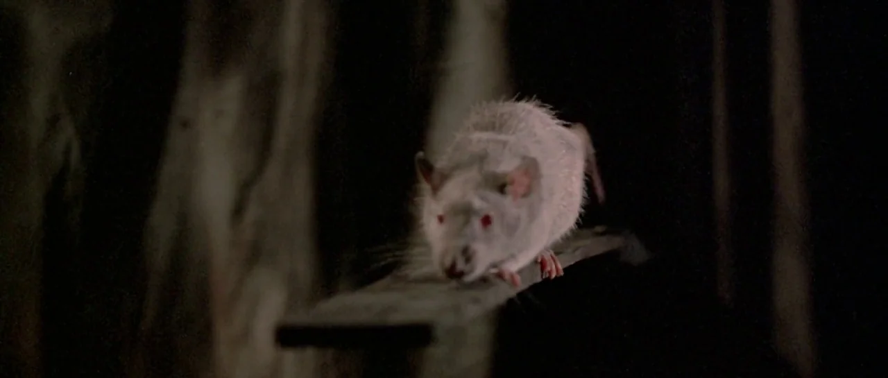 Friday the 13th Part III (1982) movie still: closeup — A white rat navigates a narrow, weathered wooden plank in a dark space. The background…