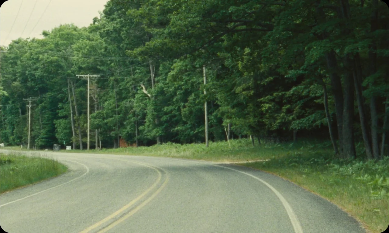 Vulcanizadora (2024) movie still: establishing — A rural asphalt road curves through a dense forest with tall deciduous trees. Wooden utility poles…
