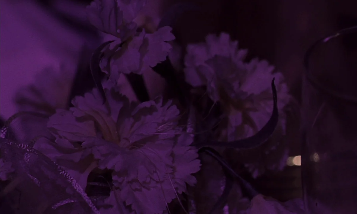Daughters of Darkness (1971) movie still: closeup — A close-up view shows a bouquet of artificial flowers resting on a dark surface. To the right,…