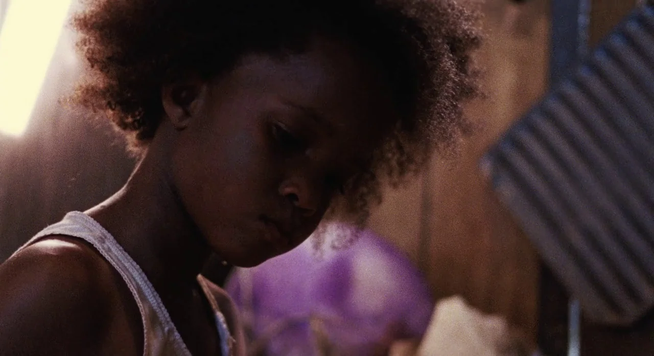 Beasts Of The Southern Wild (2012) movie still: closeup — A dimly lit, sparse interior environment with wooden wall textures and filtered daylight.…