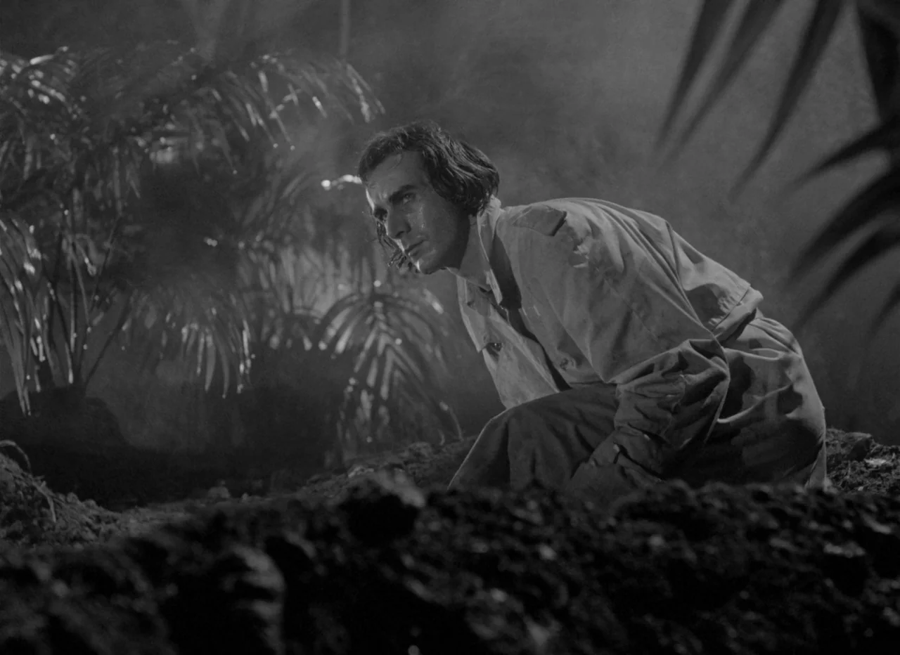 Singapore Sling (1990) movie still: medium — A dense, misty nocturnal environment filled with large tropical palm fronds. A man in a trench coat…