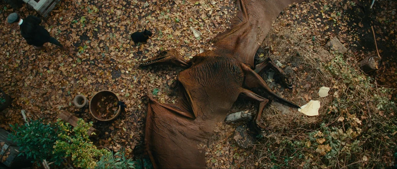 The Extraordinary Adventures of Adèle Blanc-Sec (2010) movie still: wide — An outdoor backyard space covered in scattered brown leaves with various…